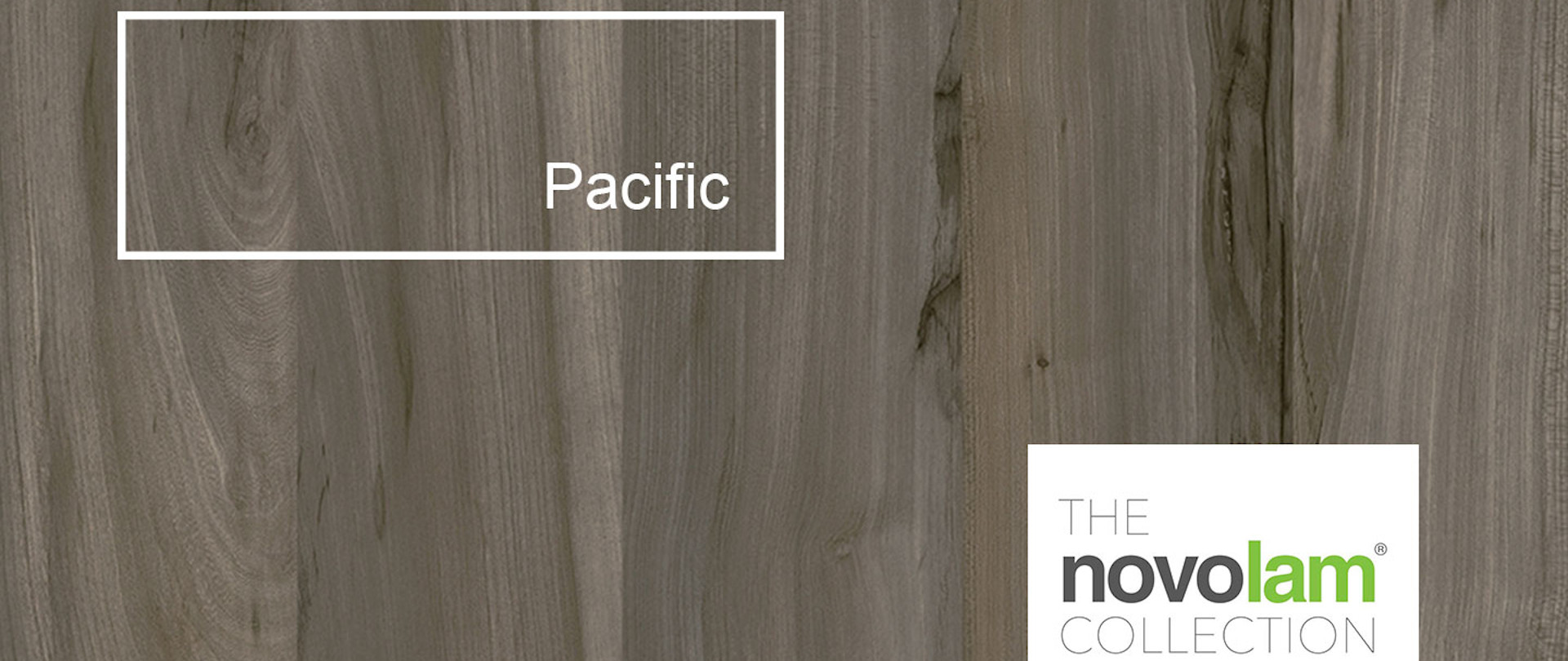 22-Nov-Article-Banner-Pacific