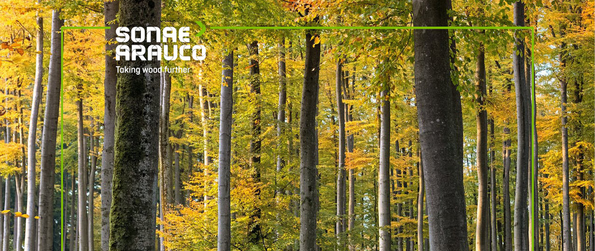 New-Template-Rectangle_-Redo New-Template-Rectangle_-Redo