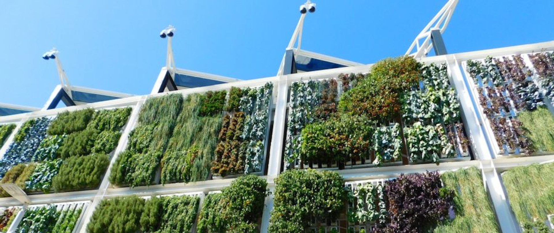 exhibition exhibition